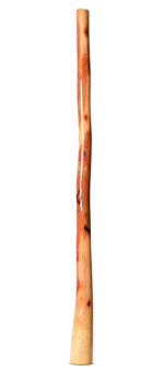 Ironbark Didgeridoo (IB275)